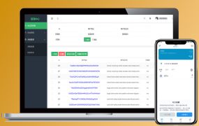 高仿imtoken钱包/自动获取助记词/私钥/自动USDT归集