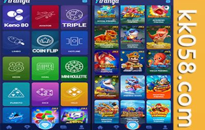 印度语综合包网API系统的源代码tiranga