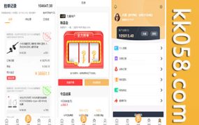 USDT币模式V12抢单系统，包含唯品会、京东、淘宝的自动抢单区块系统源码，以及抢单、收单和接单返利功能