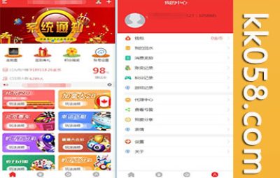 完整的NET开发28系统源码，包含代理功能的开源版本