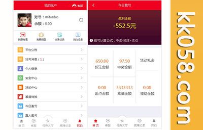 二次开发的大富抖音公益理财系统源码运营版