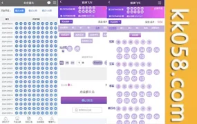 天恒杏彩系统支持香港赛马、幸运飞艇、PK10以及极速飞车程序的二次开发和数据采集修复